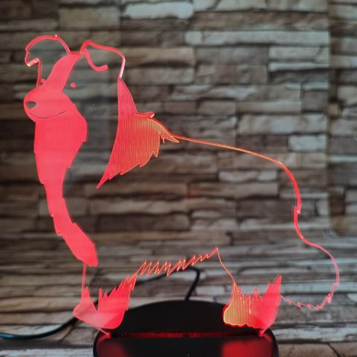 Border Collie 7 színű 3D led lámpa