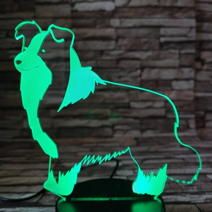Border Collie 7 színű 3D led lámpa