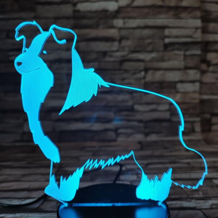 Border Collie 7 színű 3D led lámpa