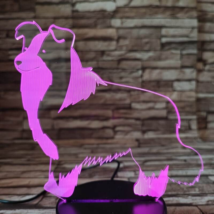 Border Collie 7 színű 3D led lámpa