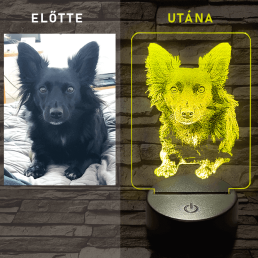 Egyedi fotógravírozás 7 színű 3D led lámpa