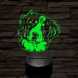 Bernáthegyi kutya fej 7 színű 3D led lámpa