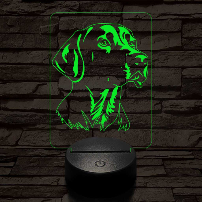 Weimari vizsla-fej 7 színű 3D led lámpa