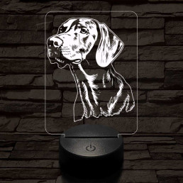 Vizsla-fej  7 színű 3D led lámpa