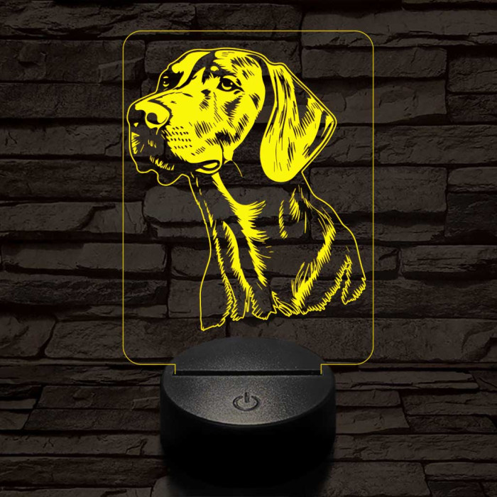 Vizsla-fej  7 színű 3D led lámpa