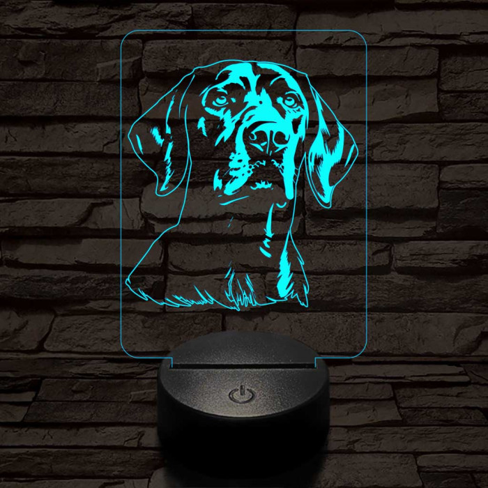 Vizsla 7 színű 3D led lámpa