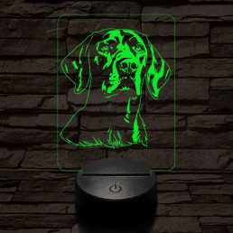 Vizsla 7 színű 3D led lámpa
