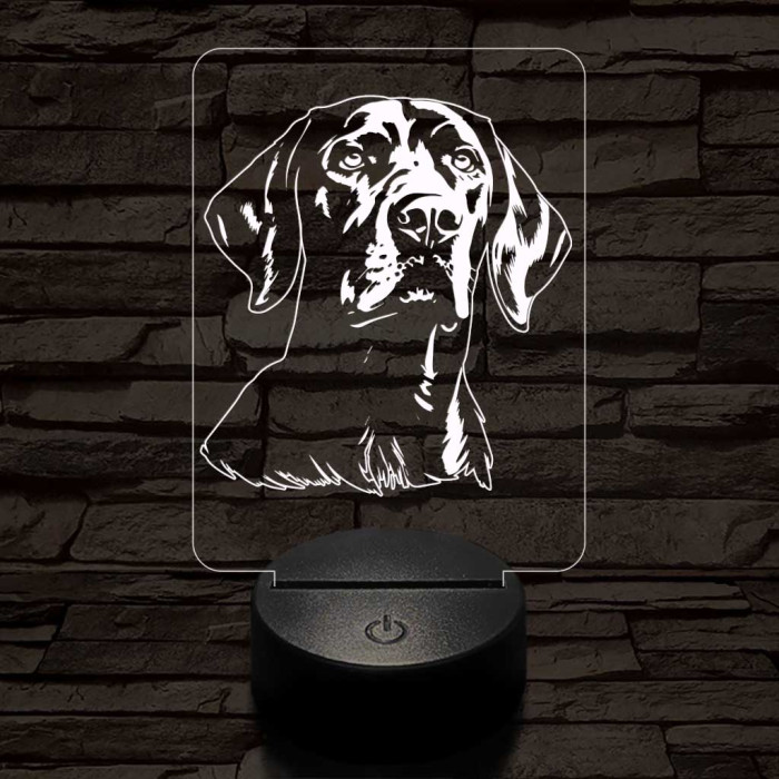 Vizsla 7 színű 3D led lámpa