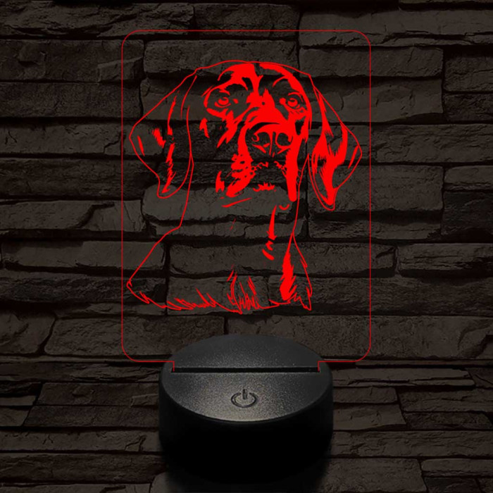 Vizsla 7 színű 3D led lámpa