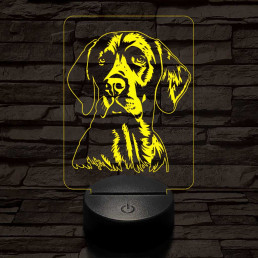 Pointer-fej 7 színű 3D led lámpa