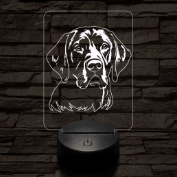 Fekete labrador retriever 7 színű 3D led lámpa