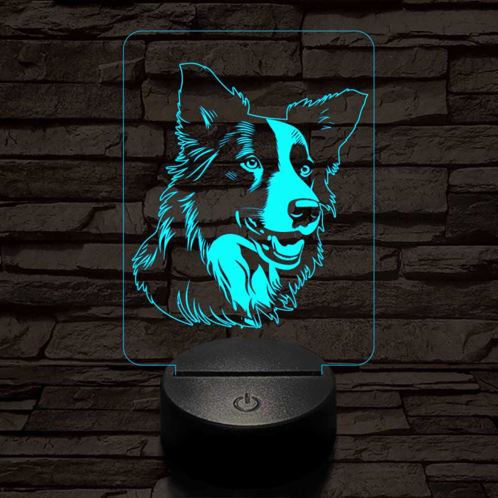 Border collie kutya 7 színű 3D led lámpa