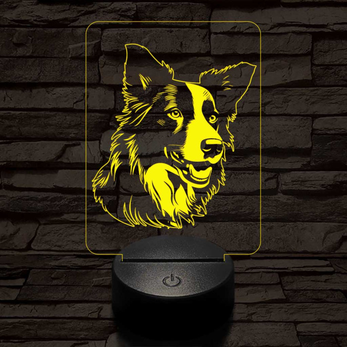 Border collie kutya 7 színű 3D led lámpa