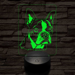 Boston terrier 7 színű 3D led lámpa