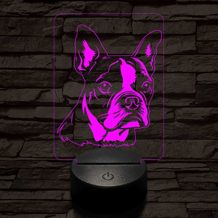 Boston terrier 7 színű 3D led lámpa
