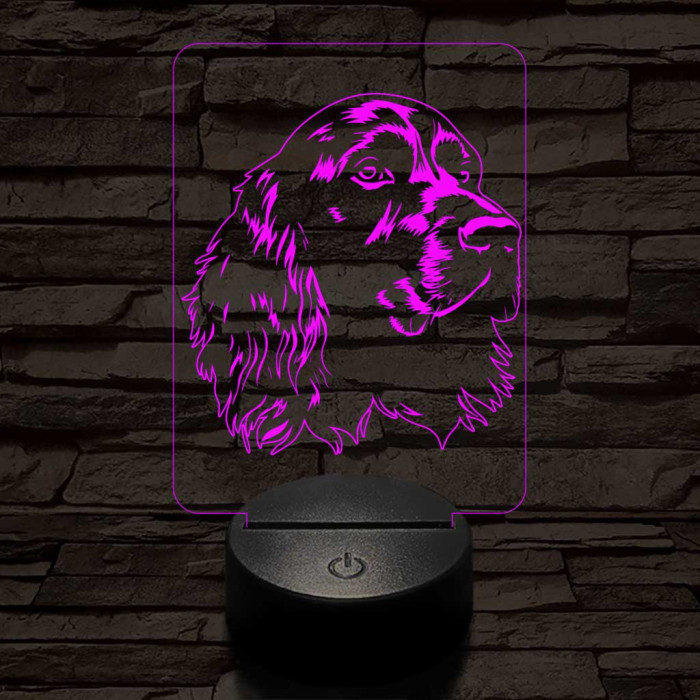 Boykin spániel 7 színű 3D led lámpa