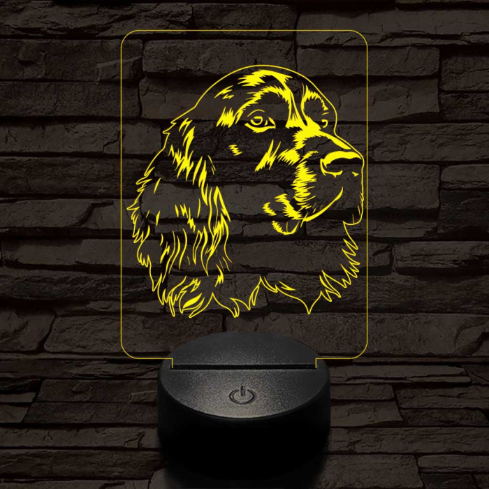 Boykin spániel 7 színű 3D led lámpa