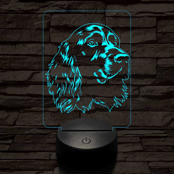 Boykin spániel 7 színű 3D led lámpa