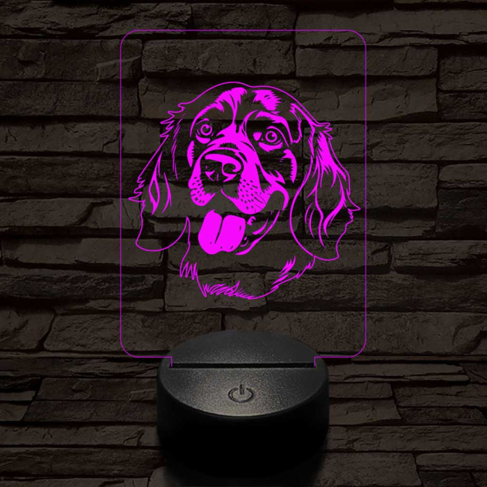 Breton spániel-fej 7 színű 3D led lámpa