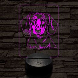 Tacskó-fej 7 színű 3D led lámpa