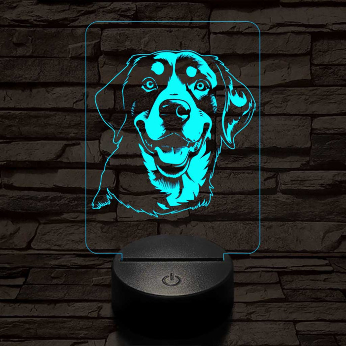 Entlebuchi havasi kutya-fej, 7 színű 3D led lámpa