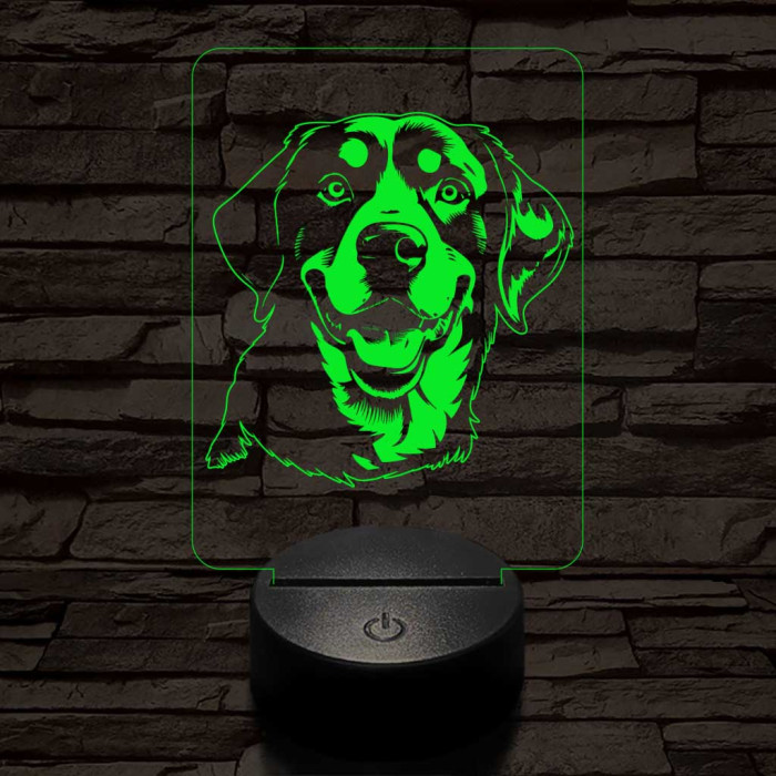Entlebuchi havasi kutya-fej, 7 színű 3D led lámpa