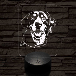 Entlebuchi havasi kutya-fej, 7 színű 3D led lámpa