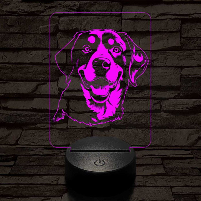 Entlebuchi havasi kutya-fej, 7 színű 3D led lámpa