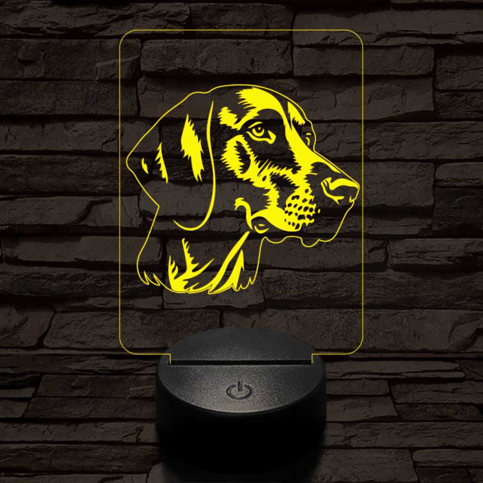 Rövidszőrű német vizsla-fej 7 színű 3D led lámpa