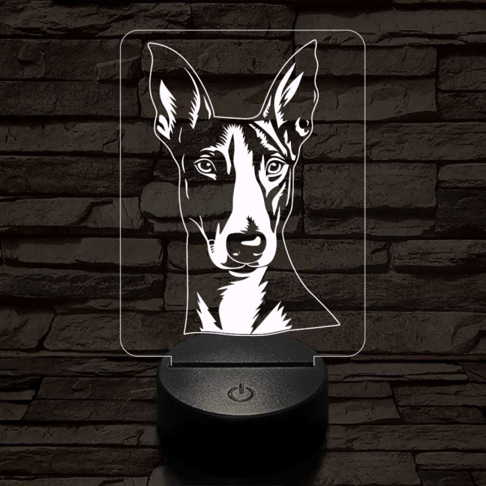 Ibizai kopó-fej 7 színű 3D led lámpa