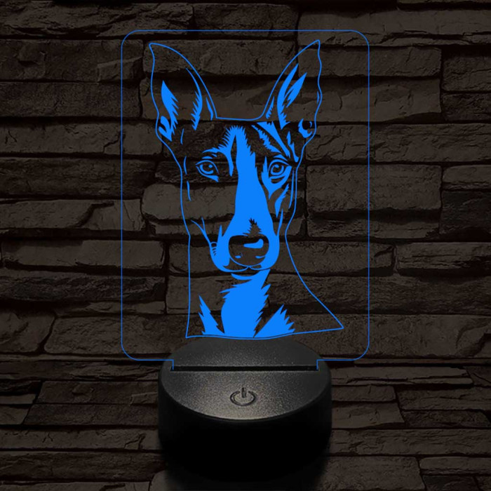 Ibizai kopó-fej 7 színű 3D led lámpa