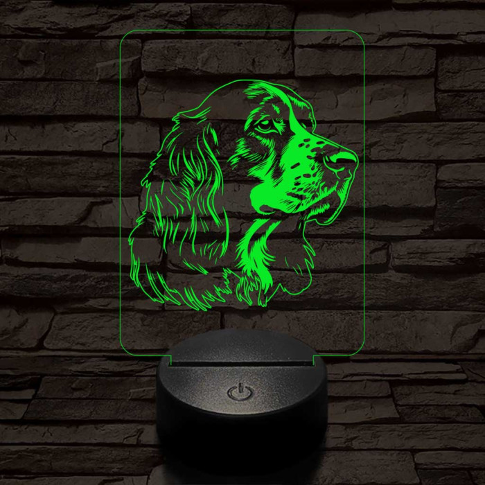 Vörös-fehér ír szetter-fej 7 színű 3D led lámpa