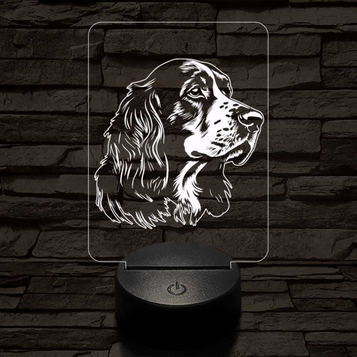 Vörös-fehér ír szetter-fej 7 színű 3D led lámpa