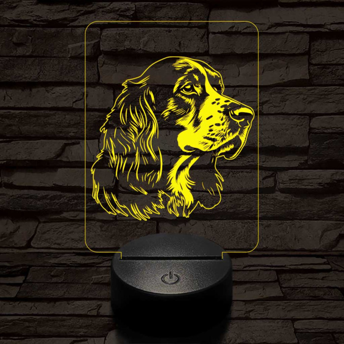 Vörös-fehér ír szetter-fej 7 színű 3D led lámpa