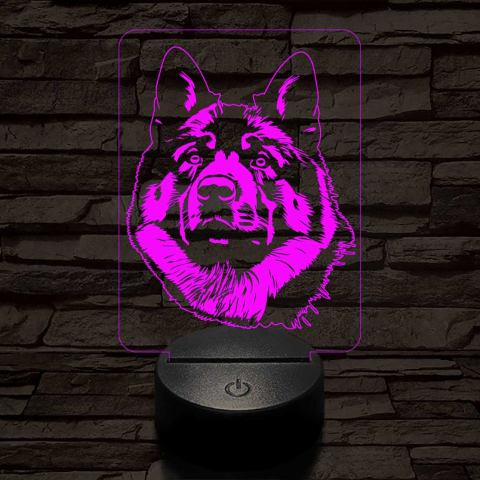 Amerikai akita-fej 7 színű 3D led lámpa