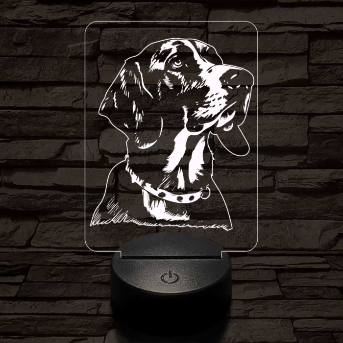 Amerikai rókakopó-fej 7 színű 3D led lámpa