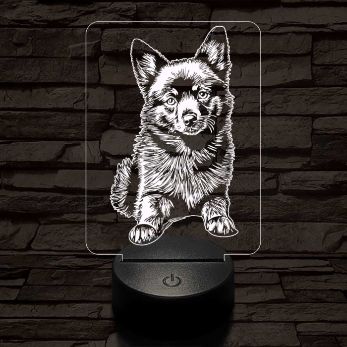 Schipperke kutya-fej 7 színű 3D led lámpa