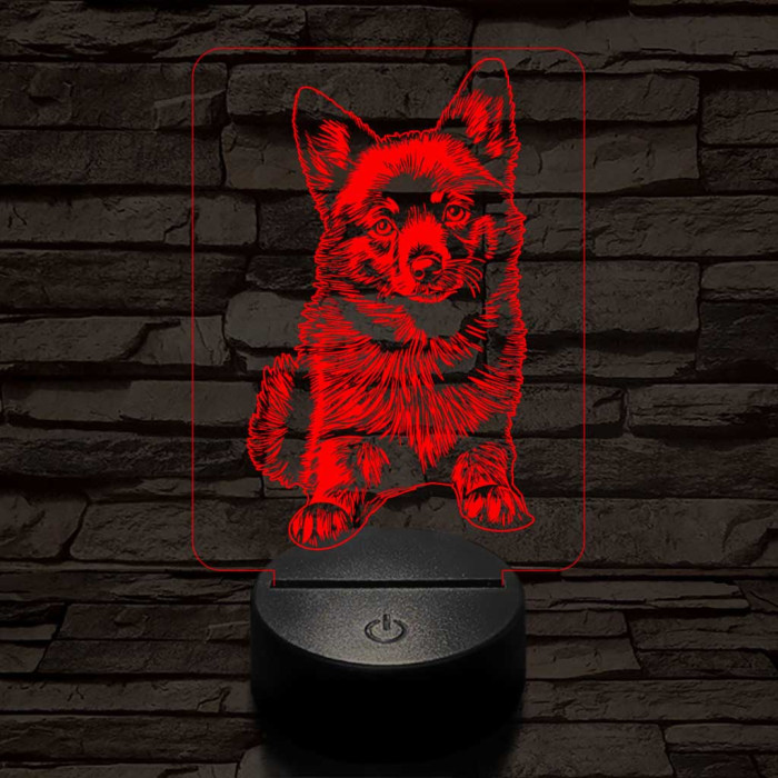 Schipperke kutya-fej 7 színű 3D led lámpa