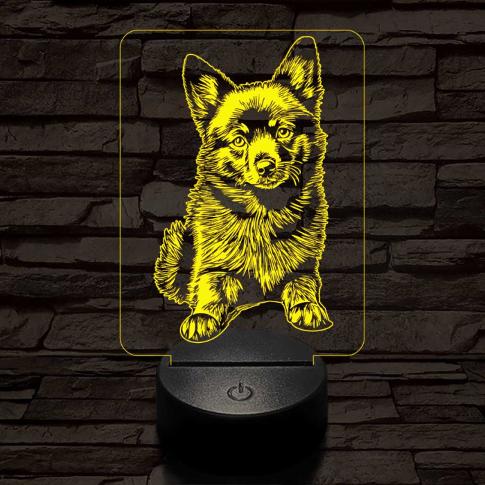 Schipperke kutya-fej 7 színű 3D led lámpa