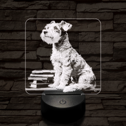 Schnauzer egész alakos portré 7 színű valósághű 3D led lámpa
