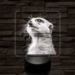 Timon mereng 7 színű valósághű 3D led lámpa