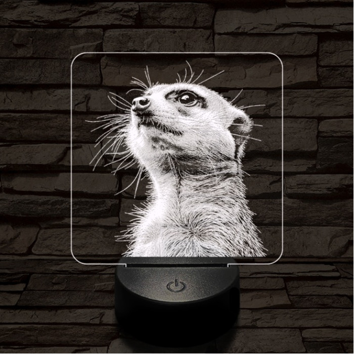 Timon mereng 7 színű valósághű 3D led lámpa