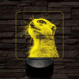 Timon mereng 7 színű valósághű 3D led lámpa