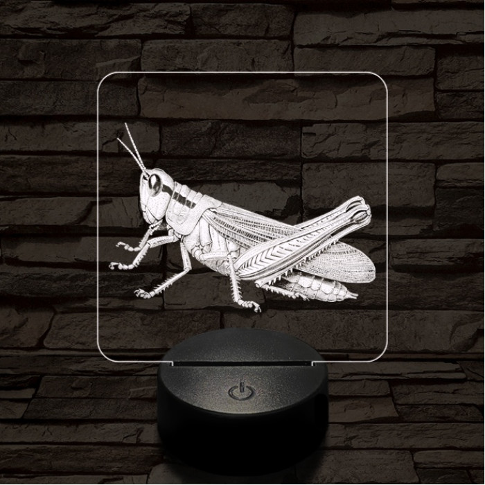 Szöcske 7 színű valósághű 3D led lámpa