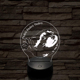 Pedro Pedro meme 7 színű 3D led lámpa