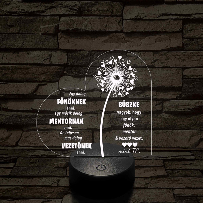 Főnök – Mentor – Vezető – 7 színű, színváltós 3D LED lámpa