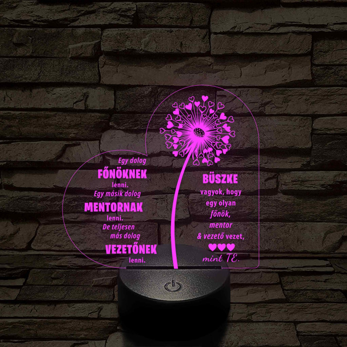 Főnök – Mentor – Vezető – 7 színű, színváltós 3D LED lámpa