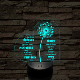 Főnök – Mentor – Vezető – 7 színű, színváltós 3D LED lámpa