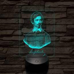 Petőfi Sándor 7 színű 3D led lámpa