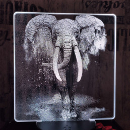 Elefánt 7 színű valósághű 3D led lámpa